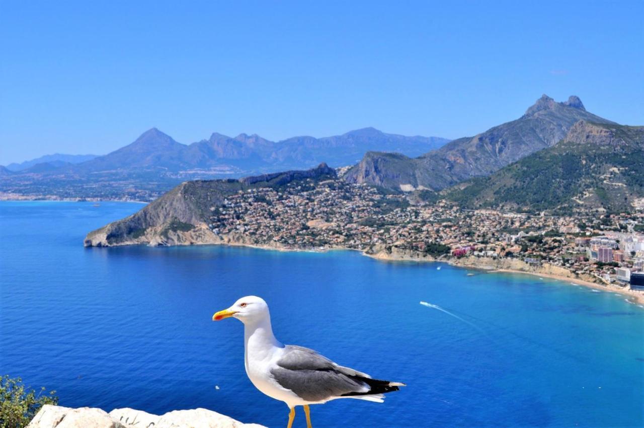Villavalley Calp